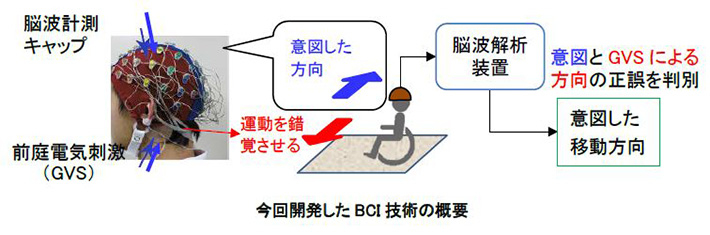 今回開発したBCI技術の概要