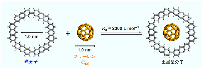 環分子とフラーレンC60による土星形分子の形成（環外周部の置換基は省略）