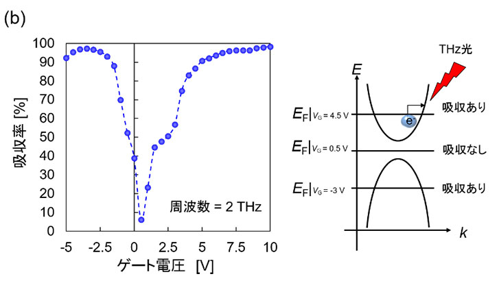 フェルミ準位制御による性能改善 （a）ノイズ電圧値の低減 （b）テラヘルツ吸収率の向上