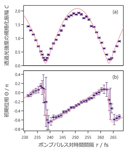第2ポンプパルス励起後の透過光強度の振幅とその初期位相のポンプ対時間間隔（横軸）依存性。中村准教授らが構築した理論モデルから計算される結果と一致していることが分かる。