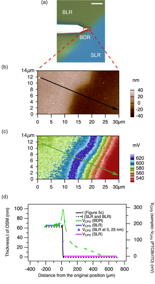 図1.（a）ケルビンプローブ法による観測部の光学顕微鏡図。（b）ケルビンプローブ顕微鏡と同時測定した原子間力顕微鏡[用語6]によるテラス型p-n接合（左がp型、右がn型）。（c）ケルビンプローブ顕微鏡による接触電位差のマッピングで、青い部分がプラス側にシフトした極大部分。（d）広い領域にわたって測定した接触電位差（緑）は、100 µm以上の大きな範囲にわたっていることがわかる。