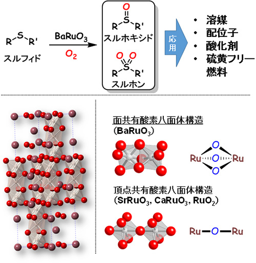 （上）酸素分子のみを酸化剤としたBaRuO3触媒によるスルフィドの選択酸化反応。（左下）BaRuO3の構造（紫色、灰色、赤色の球はそれぞれバリウム、ルテニウム、酸素原子を示している）。（右下）面共有酸素八面体構造と頂点共有酸素八面体構造の模式図。
