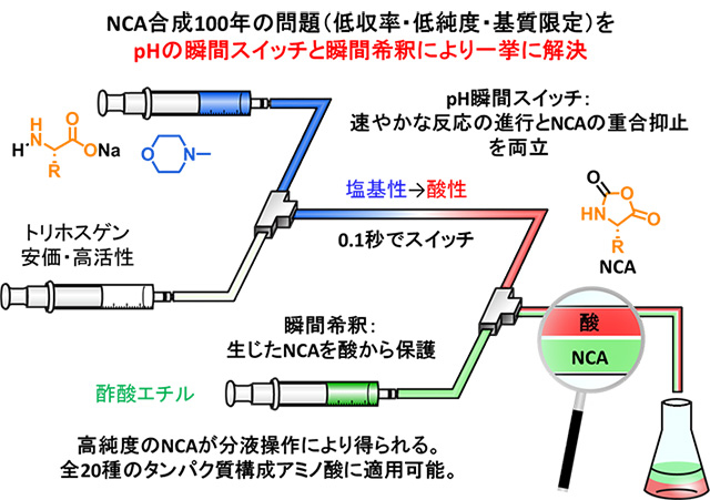 マイクロフロー法を駆使するNCAの効率合成