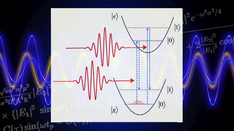 Control of quantum state of optical phonon in diamond induced by ultrashort light pulses