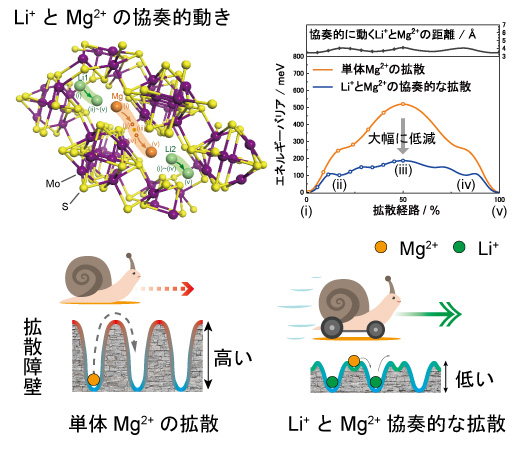 図1. Li+とMg2+の協奏的動きによるMg2+の拡散障壁の低減