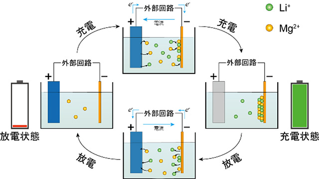 図2. Li-Mgデュアルイオン電池の模式図
