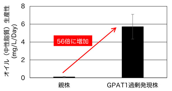 GPAT1過剰発現によるオイル生産性の飛躍的改善
