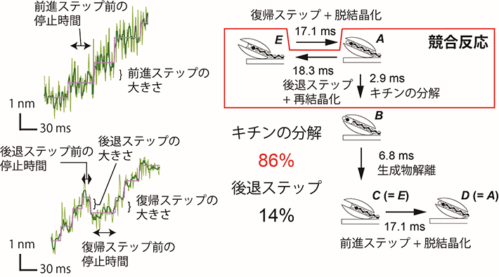 前進、後退、復帰ステップの例と反応時定数のまとめ