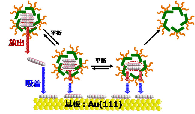 分子膜作製のしくみ