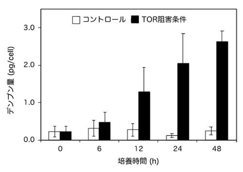 TORキナーゼの活性を阻害するとデンプンの蓄積が誘導される