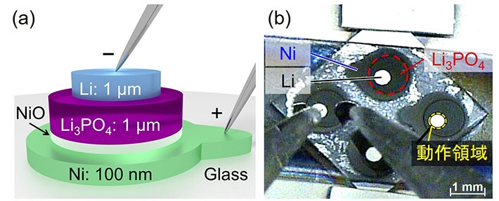 本研究で作製した全固体電池の概略図（a）と写真（b）