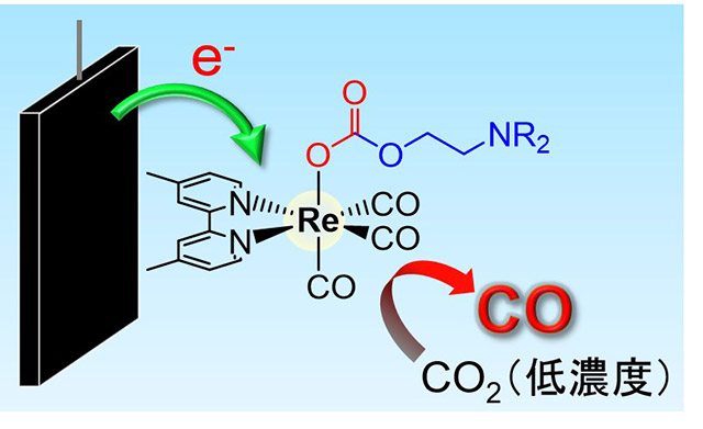 図2. 低濃度のCO2しか含まないガスからレニウム錯体がCO2を捕集し、高効率な電気化学反応でCOへと還元する