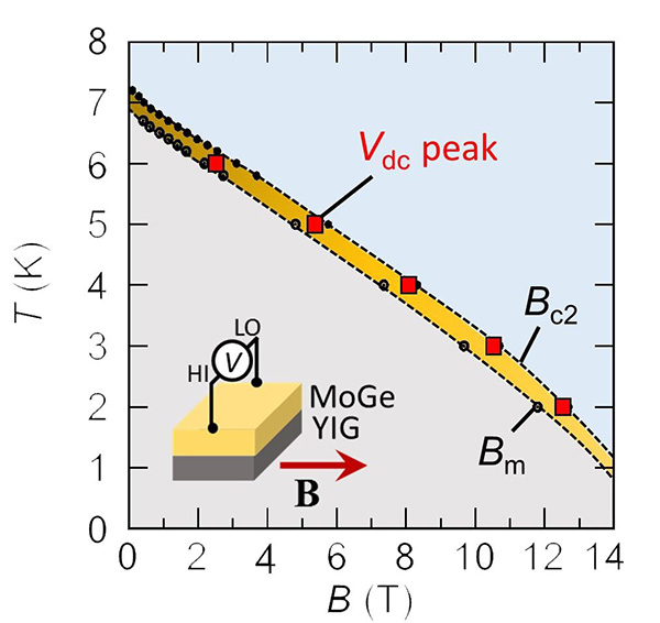MoGeに電圧が生じた温度（T）と磁場（B）の組み合わせを、MoGeの超伝導相の相図と照らし合わせた結果。電圧が生じた条件は赤い正方形で示されており、全て黄色い帯の領域内で生じていることがわかる。この黄色い帯の部分は、渦糸液体相に対応する。