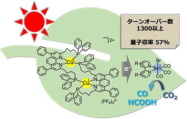 銅（Cu）錯体とマンガン（Mn）錯体を組み合わせたCO2還元光触媒反応