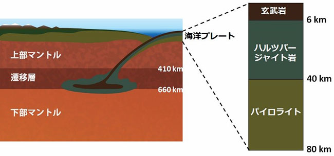 沈み込む海洋プレートの物質構成