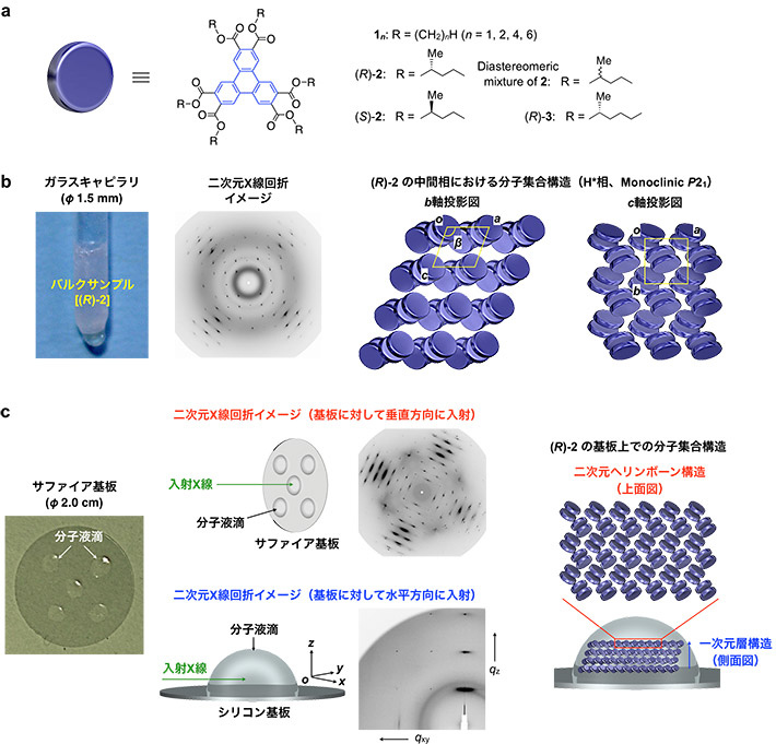 図1. キラルトリフェニレンの分子構造、（b）液滴中の分子集合構造、および（c）基板上での液滴内部の分子集合構造