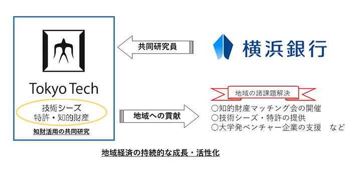 スキーム図