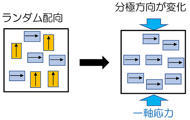 図3. 強弾性の概念図。応力によって分極方向の配向が変化する。