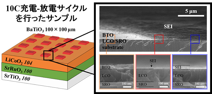 LCO表面に100 μm角のBTOを堆積させた薄膜の模式図（左図）と、10Cにて充電／放電を行った後の走査型電子顕微鏡観察像（右図）。