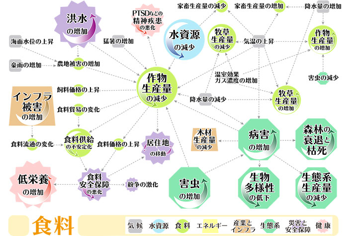 食料分野における気候変動影響の連鎖