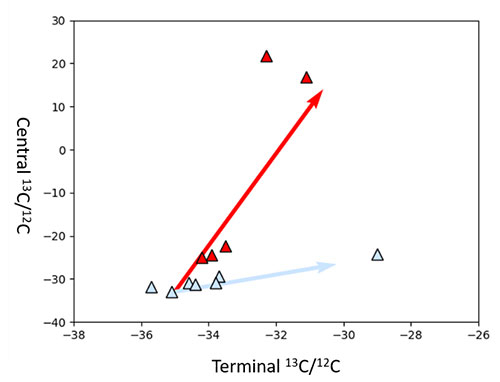 天然ガス中プロパンの分子内同位体計測の結果。縦軸は中心の炭素の同位体比、横軸は末端の炭素の同位体比を示す。赤い矢印は培養実験の結果に基づいて予測されるプロパンの生物分解トレンド。水色の矢印は熱分解実験によって得られた無機的な分解トレンドを示す。赤の星印で示したガス田サンプルは生物が分解した傾向がみられる。