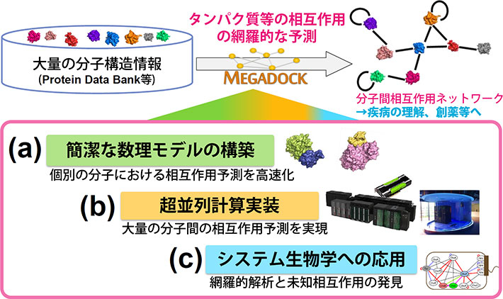 大量の分子構造情報を活用した網羅的な分子間相互作用予測技術の開発