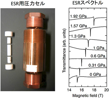 （左）電子スピン共鳴（ESR）用圧力セル。試料に圧力を加えるためのピストンが電磁波を透過するジルコニアで作製されている。（右）330 GHzの電磁波を用いて観測された高圧下でのESRスペクトル。