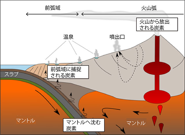 沈み込み帯における炭素循環の概要