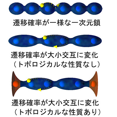 Su-Schriffer-Heeger（SSH）模型の模式図。上から順に、隣の原子への遷移確率が一様な場合、大小交互に並ぶ場合（トポロジカルな性質なし）、大小交互に並ぶ場合（トポロジカルな性質あり）。赤色は余った電子の波動関数の広がりを表す。