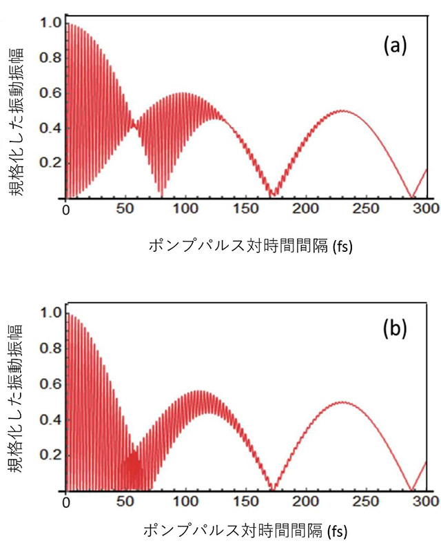 図2. 理論計算で得られた光学フォノンの励起パルス間隔依存性。（a）誘導ラマン過程、（b）光吸収過程による結果。（a）は図1の実験結果とよく合っている。
