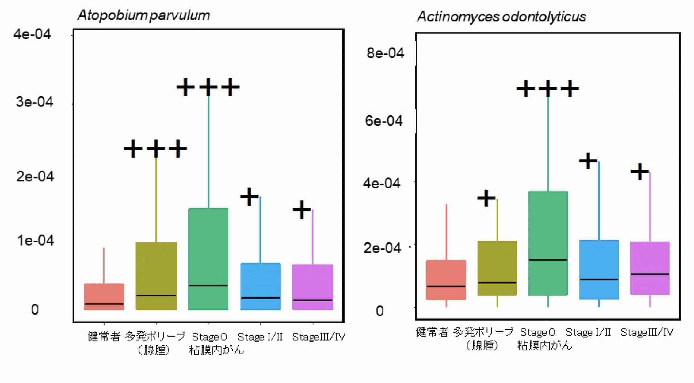 発がんの早期（腺腫や粘膜内がん）に増加し、がんの進行とともに減少する細菌（代表例）