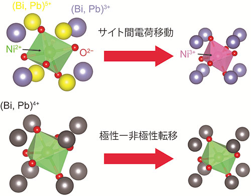 Bi1−xPbxNiO3の負熱膨張メカニズム。0.05 ≤ x ≤ 0.25ではサイト間電荷移動により（上図）、0.60 ≤ x ≤ 0.80では極性―非極性転移により（下図）、負の熱膨張が発現する。