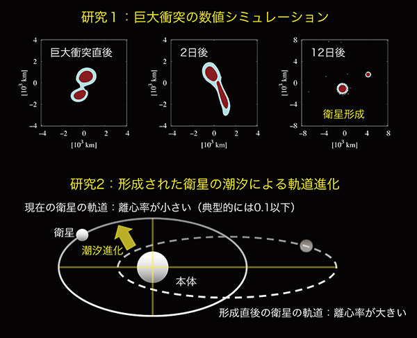 （上）巨大天体衝突による衛星形成の数値シミュレーションの結果の1例。衝突速度は約1 km/秒で、衝突角度は75度。（下）衛星形成後の潮汐による軌道進化の概念図。数値シミュレーションによる形成直後の衛星は離心率が大きいが、観測からは現在の離心率は小さいことがわかっている。したがって、現在の離心率を再現するには、衛星形成後の潮汐による軌道進化によって離心率を減少させる必要がある。