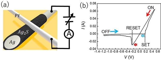 （a）銀・硫化銀・白金の3層構造の原子スイッチの構造モデル、（b）作製した原子スイッチの電流―電圧特性SETで伝導度の高いON状態になり、RESETで伝導度の低いOFF状態になる。