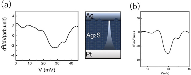 （a）オン状態における原子スイッチの振動スペクトル （b）銀単体のワイヤの振動スペクトル