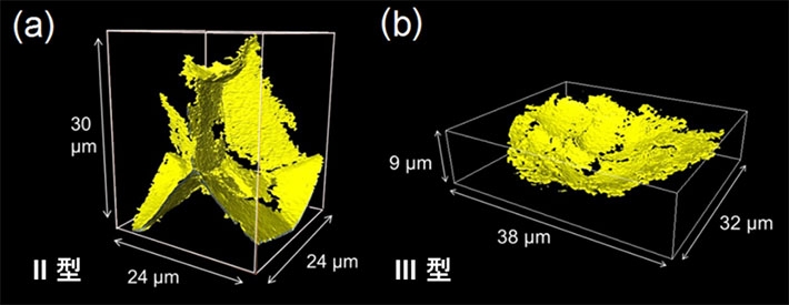 アルミナ・セラミックスの内部欠陥のナノCT像。（a） II型、（b） III型。