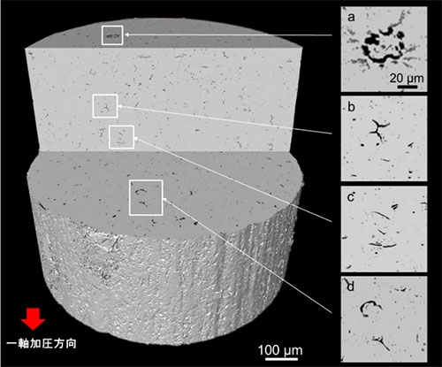 アルミナ円柱試料断面のマイクロCT像。図中矢印の軸方向が粉末の一軸加圧方向。