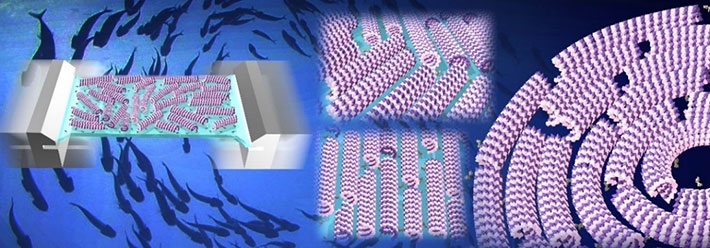 外部刺激による分子機械の集団運動制御のイメージ図