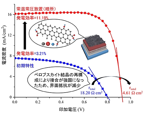 研究成果の概要