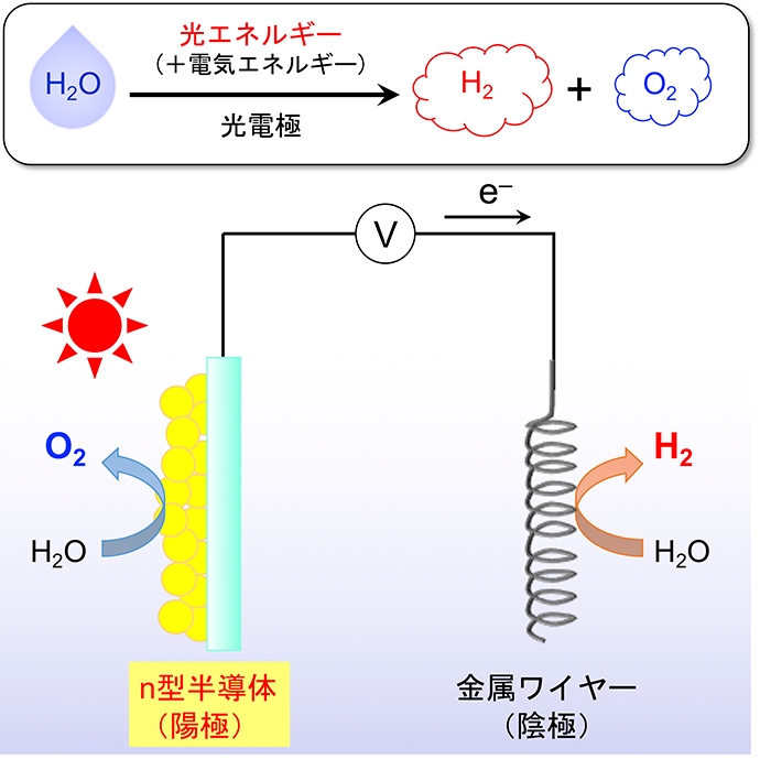 可視光応答型光電極による水分解