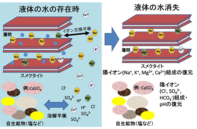 放射性廃棄物の地層処分分野で開発されたスメクタイトの層間組成を利用した水質復元法