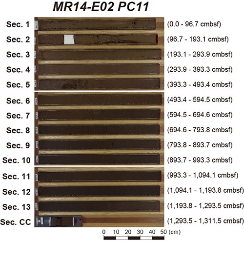 本研究に用いたピストンコア試料の半割断面写真。エジェクタ層は、Section 4の中央部に位置する。