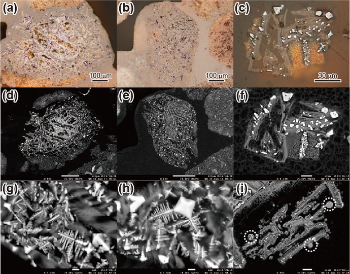 オスミウムの異常濃集とオスミウム同位体比負異常を示すピストンコア試料の粗粒部（62 μm以上）をふるい分けした物から作成した研磨片の（a - c）反射顕微鏡画像および（d - i）後方電子散乱（BSE）画像。スフェルールの外側は遠洋性堆積物に覆われているが（a）、内部はカンラン石の仮像を持つ六角板状の粘土鉱物が卓越する（a、d）。粘土鉱物の中には自形～樹枝状～球状のスピネル粒子が多数産出する（a - i）。樹枝状のスピネル粒子は、自形のスピネル粒子の先端から延びて成長している様子が観察される（c、f - h）。まれに球状のスピネル粒子（破線白丸）が観察され、最大で23.29 wt%と高いNiO濃度を示す（i）。