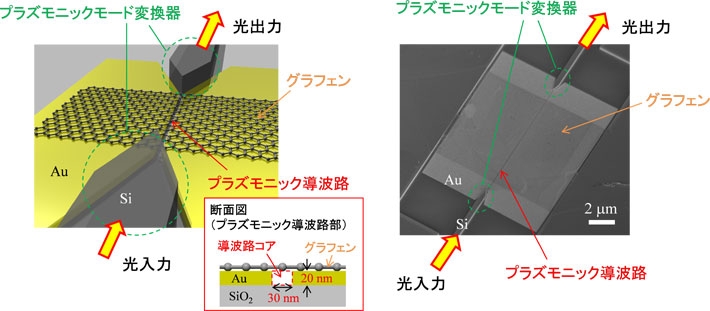 グラフェンとプラズモニック導波路を結合させた素子の概念図（左）と電子顕微鏡像（右）