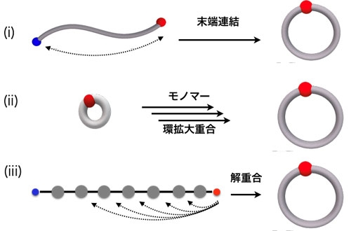 環状分子（環状高分子を含む）の合成法