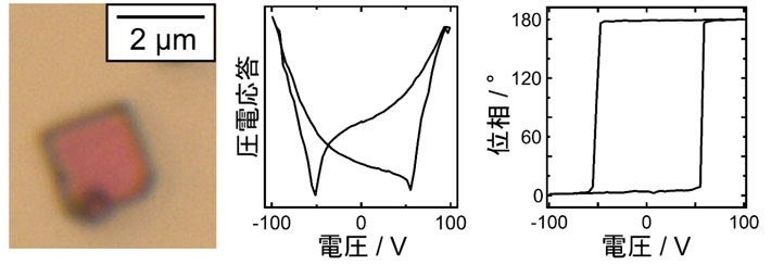 （左）BaTaO2N単結晶の光学顕微鏡像（中）強誘電性の圧電応答信号シグナル（右）強誘電性の変位位相シグナル