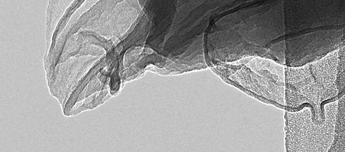 Hydrogen boride nanosheets: A promising material for hydrogen carrier