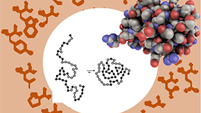 Scientists find biology's optimal "molecular alphabet" may be preordained