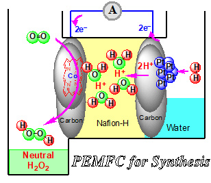 水素と酸素から高濃度中性過酸化水素水が直接合成できる燃料電池型反応器