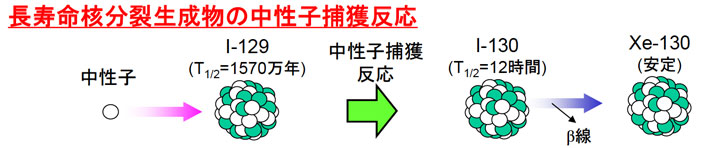 長寿命核分裂生成物の中性子捕獲反応